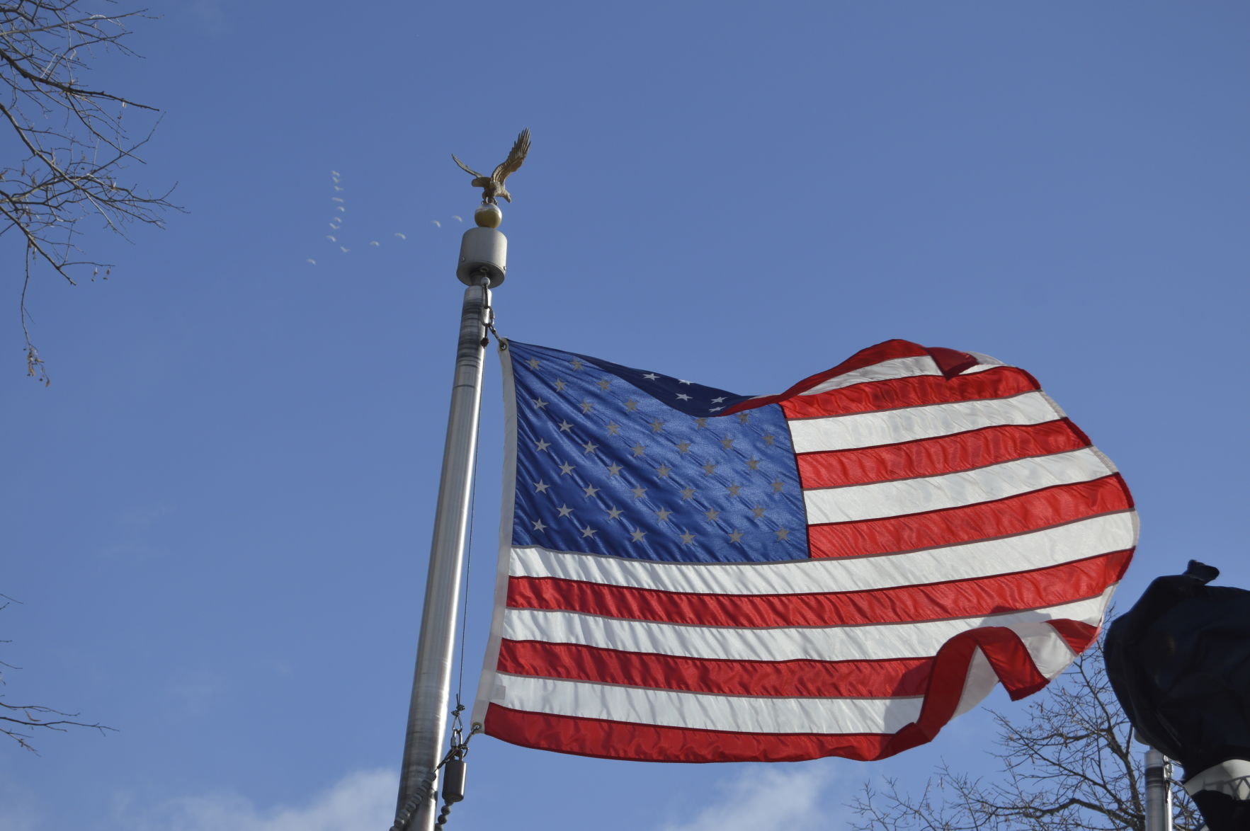 Veterans Day 2019 (7).JPG
